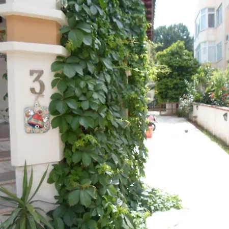 Hani Hotel 3*