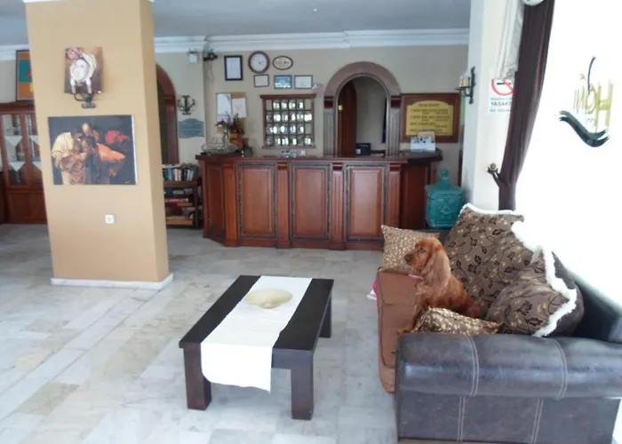 Hani 3* マルマリス